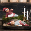 Thor Klarborg Nisse 