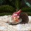 Sofia Klarborg Nisse 