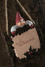 Ingolf Klarborg Nisse 